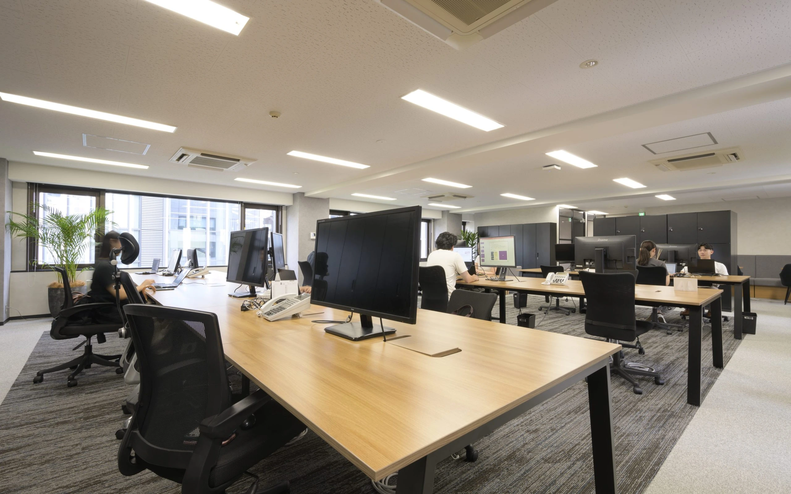 Message from the President