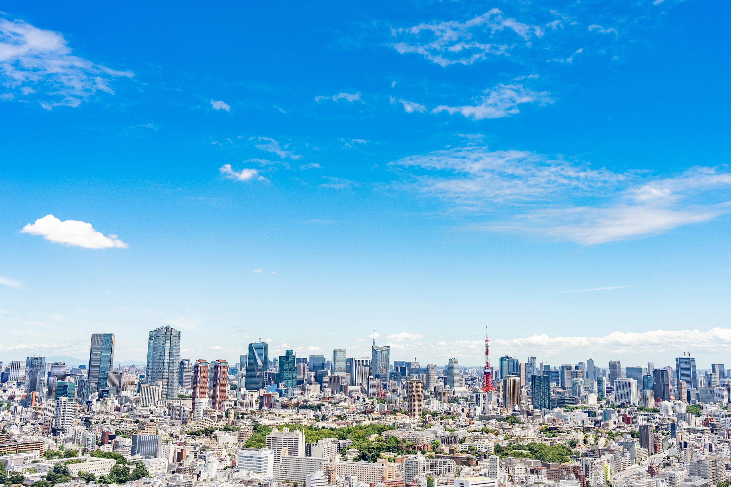 Recruitment Information