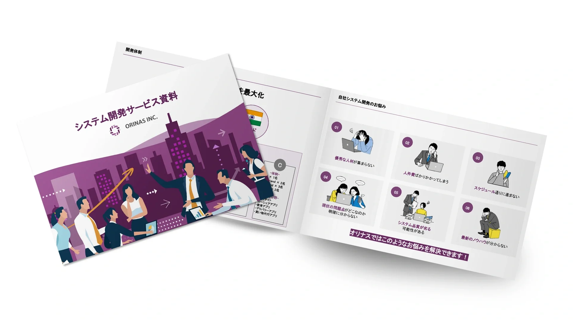 Web/SNS advertising + SNS account management set plan